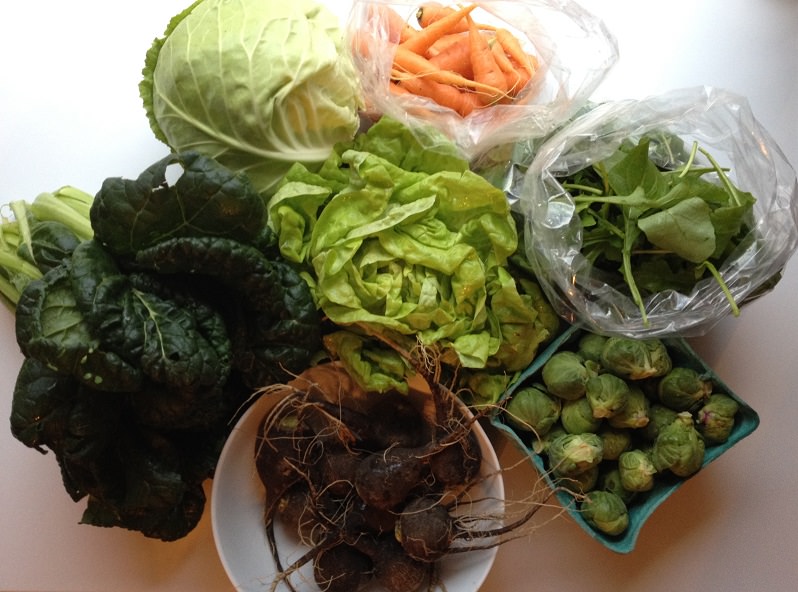 Our CSA share this week | Grabbing the Gusto