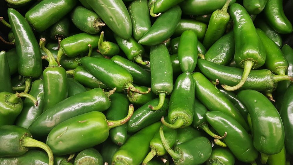 Jalapenos - Menu ideas and recipes for ground chorizo, sweet potatoes, greens, striped bass, jalapeño, Brussels sprouts, shrimp, collards, potatoes, and cauliflower